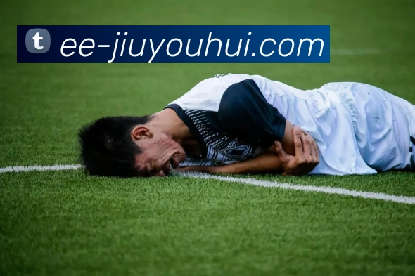 九游会J9官网APP 封面图